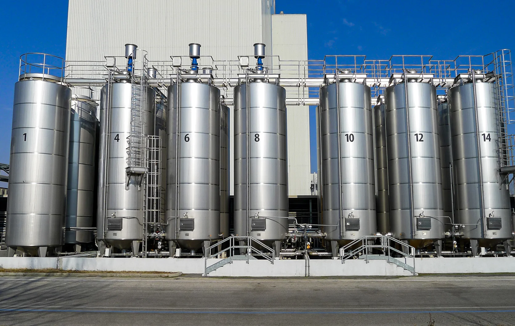 alimentare alimenti e pet food su misura